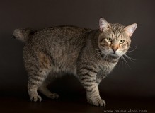 0_7753b_8cf7b6bd_L.jpg