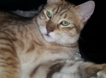 20150604_145627.jpg