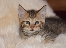 DSC_5186.JPG