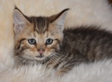 DSC_5188.JPG