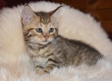 DSC_5191.JPG