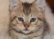 DSC_5198.JPG