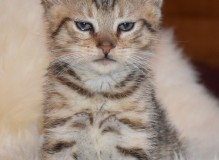 DSC_5212.JPG