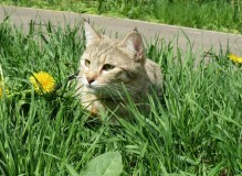 IMG_9932.JPG