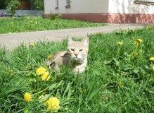 IMG_9942.JPG